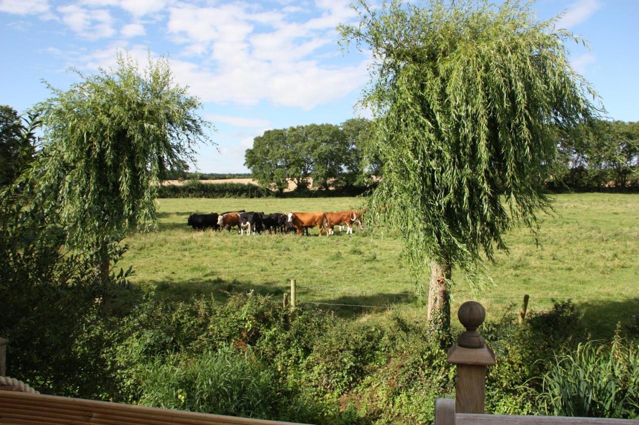 Bridge Cottage Bed And Breakfast ปีเตอร์โบโรห์ ภายนอก รูปภาพ